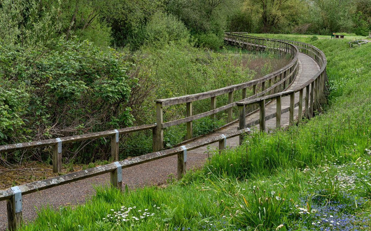 A long timber boardwalk at Atterbury Park, Broughton Brook.