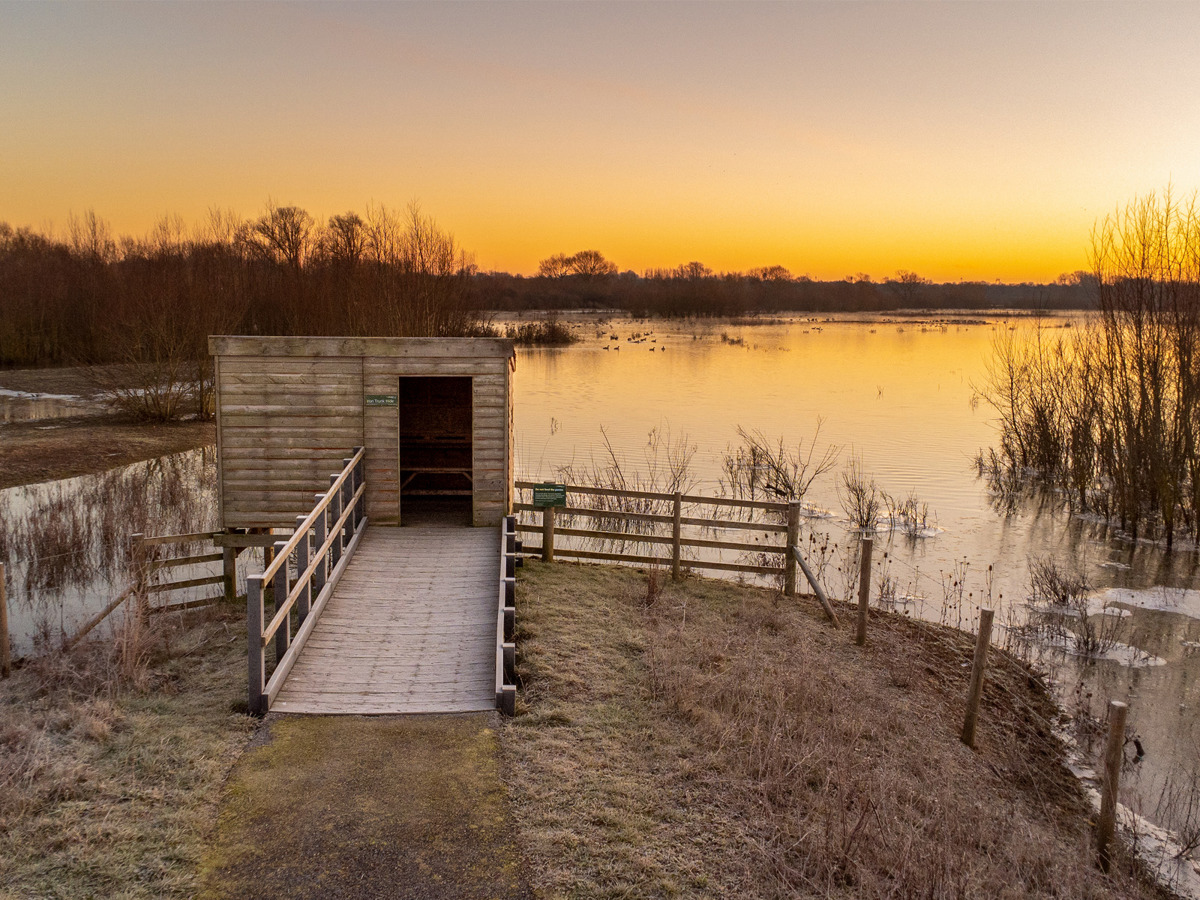 Sunrise over a lake with a bird hide at Floodplain Forest Nature Reserve.