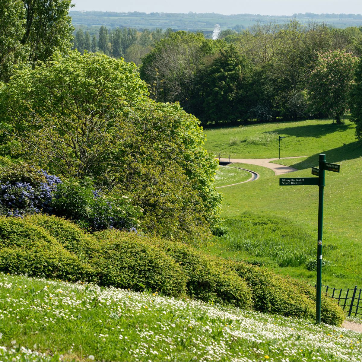 Downhill path in Campbell Park in summer