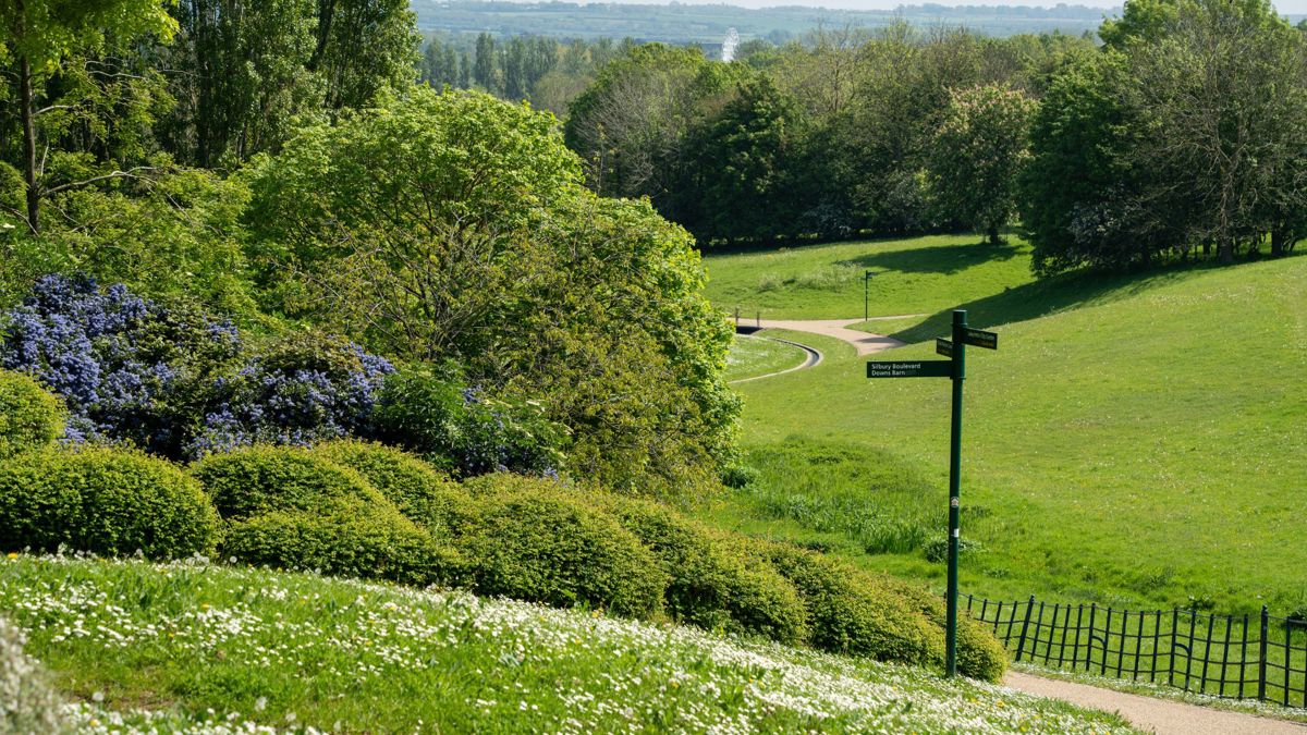 Downhill path in Campbell Park in summer