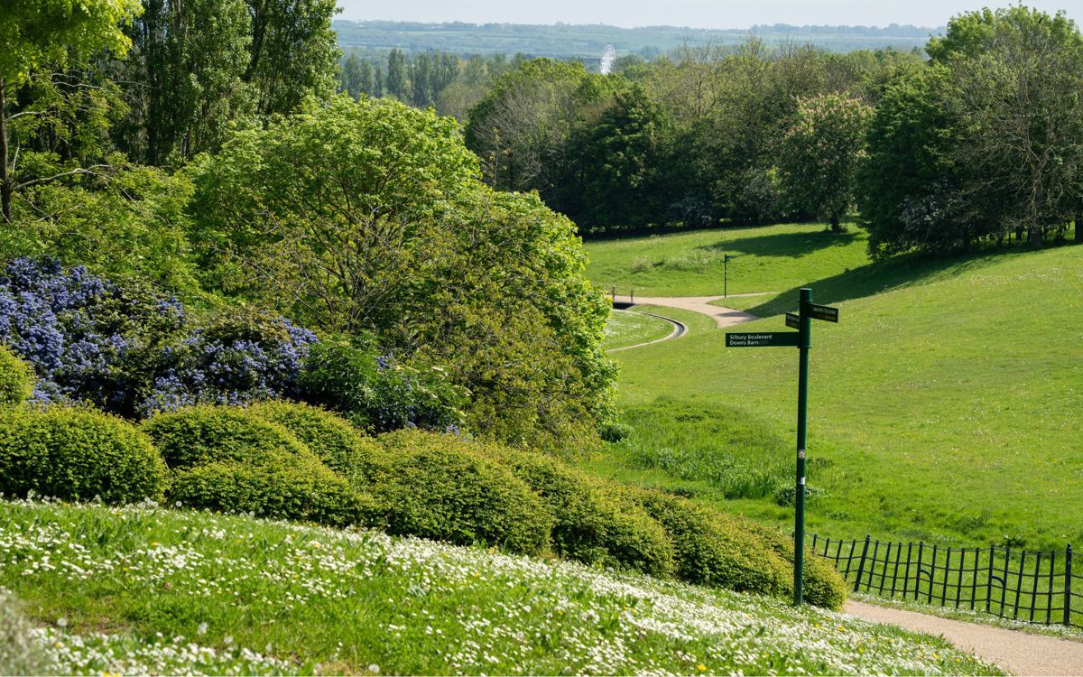 Downhill path in Campbell Park in summer