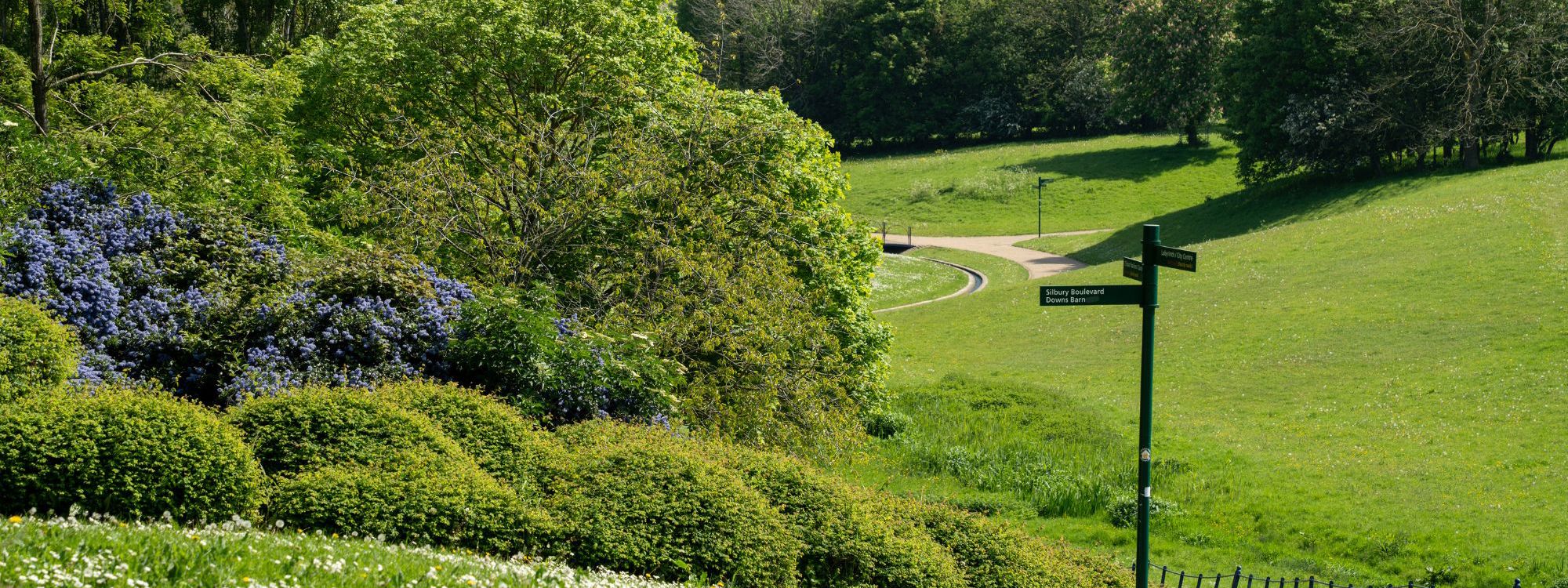 Downhill path in Campbell Park in summer