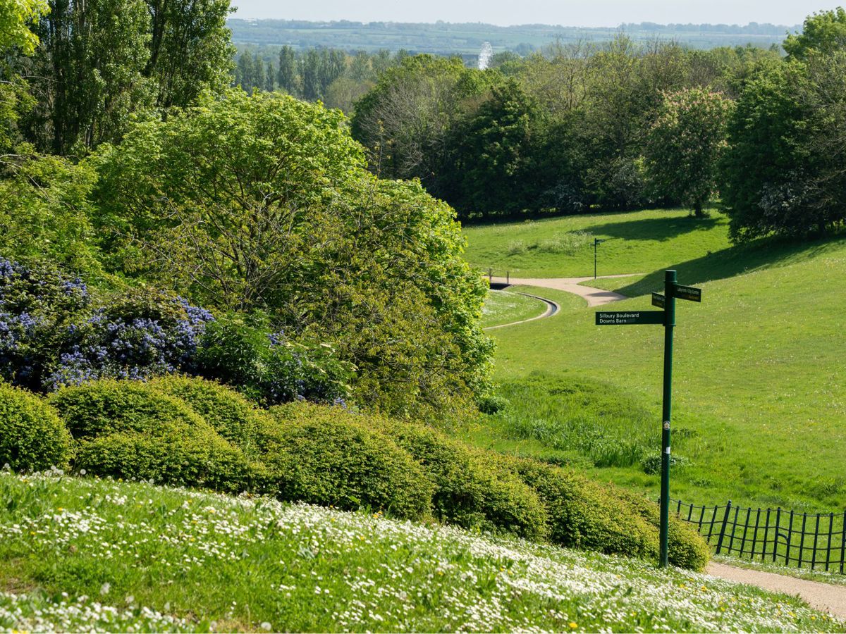 Downhill path in Campbell Park in summer
