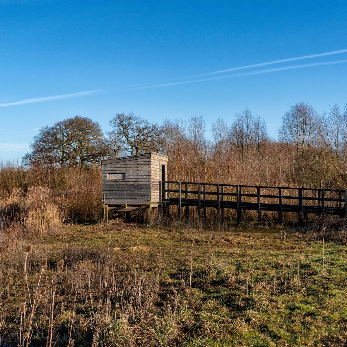 Bird hide with board walk at nature reserve with blue sky
