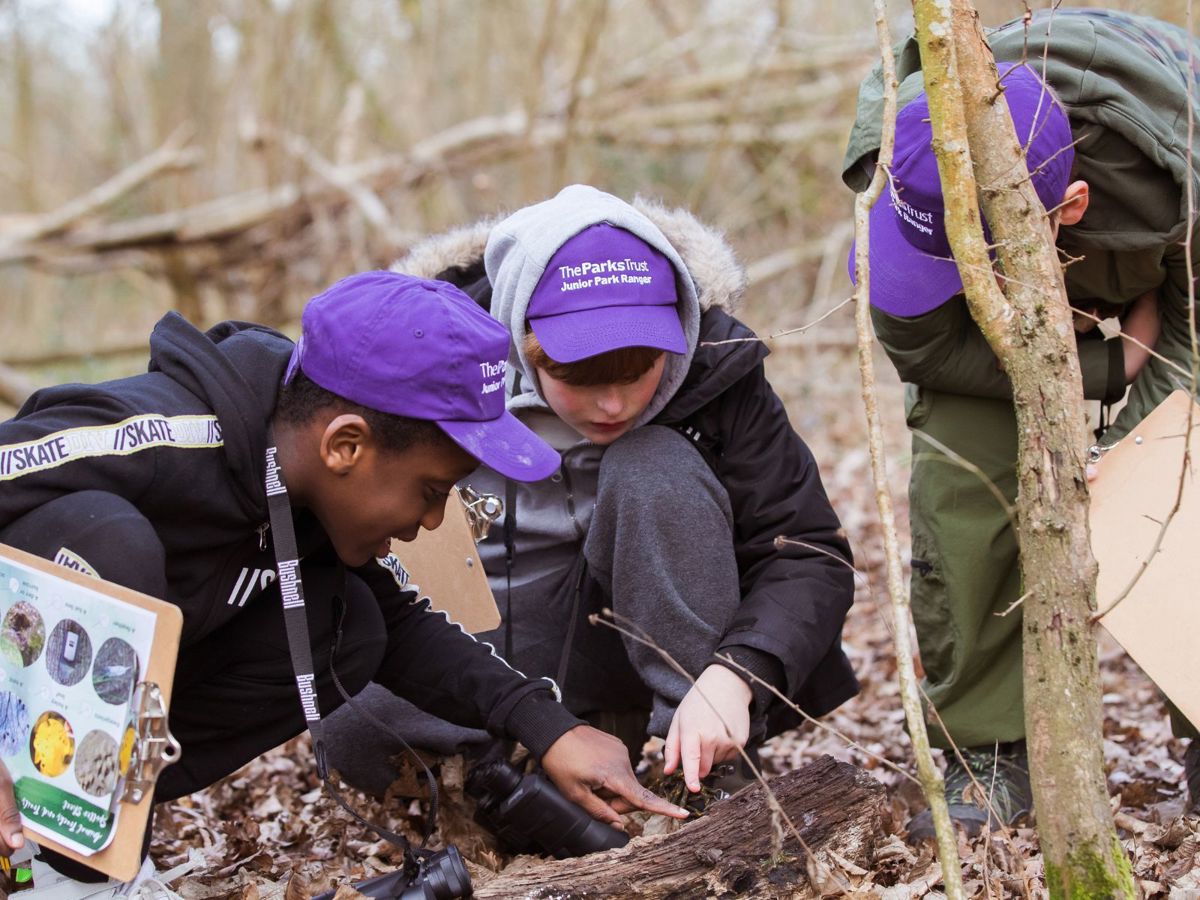 A group of children in purple hats is crouched down in an autumnal woodland. They have clipboards and pencils and are looking closely at an upturned log.