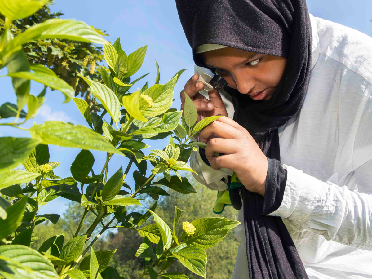 A female teenager inspecting a plant with a hand lens