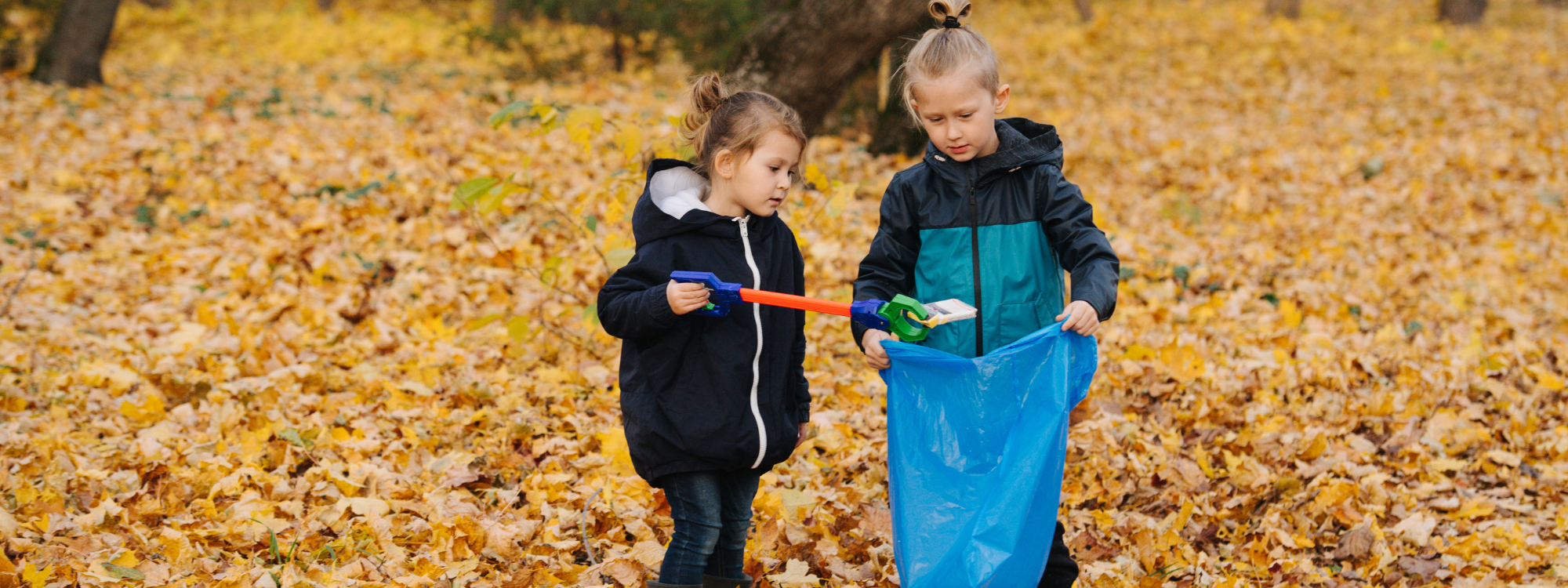 Two young children are stood in a pile of fallen leaves. One is holding a litter picker, putting some litter into the blue plastic bag that the other child is holding. 