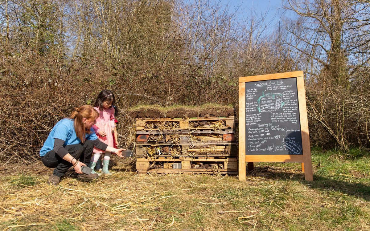 Adult and child building a bug hotel in a park