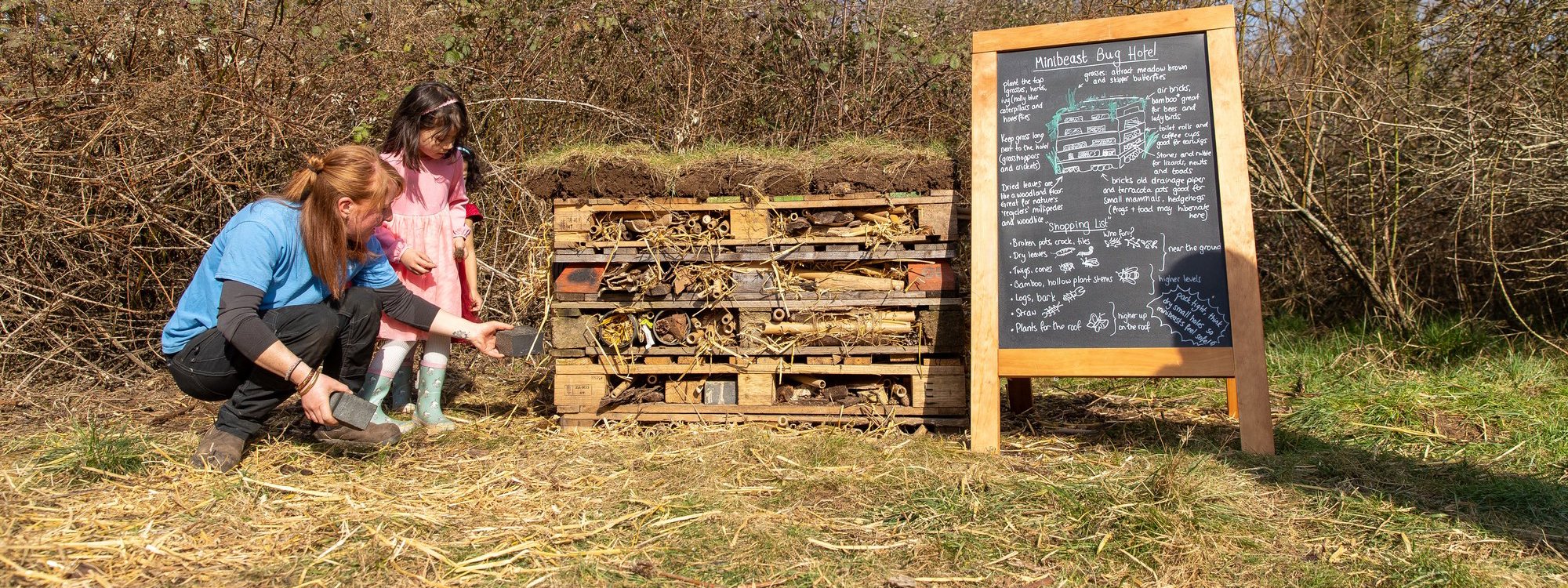 Adult and child building a bug hotel in a park
