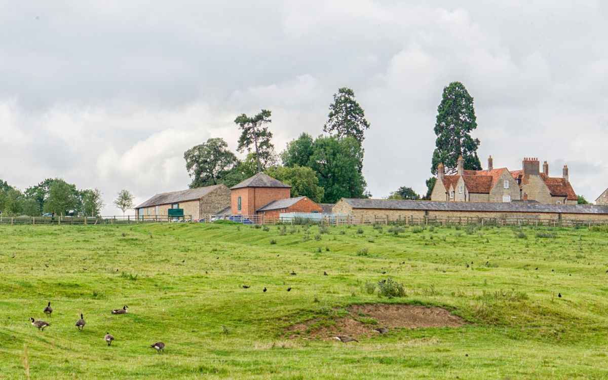 Manor Farm Building with geese on grass