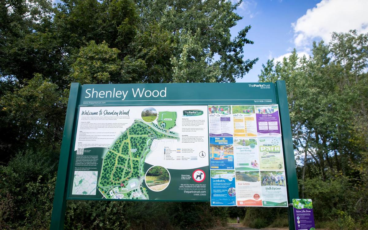 Green Shenley Wood sign board with posters