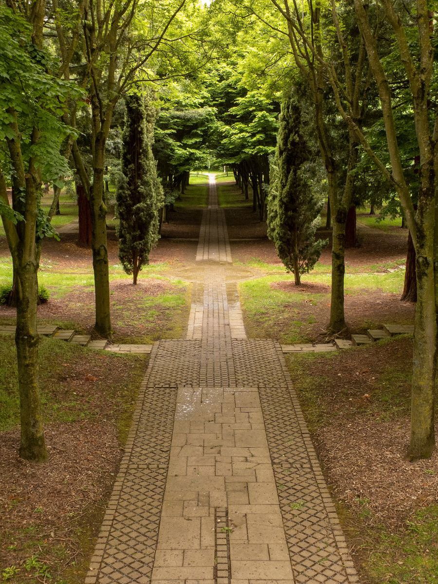 Drone view through the trees in the Tree Cathedral in Milton Keynes