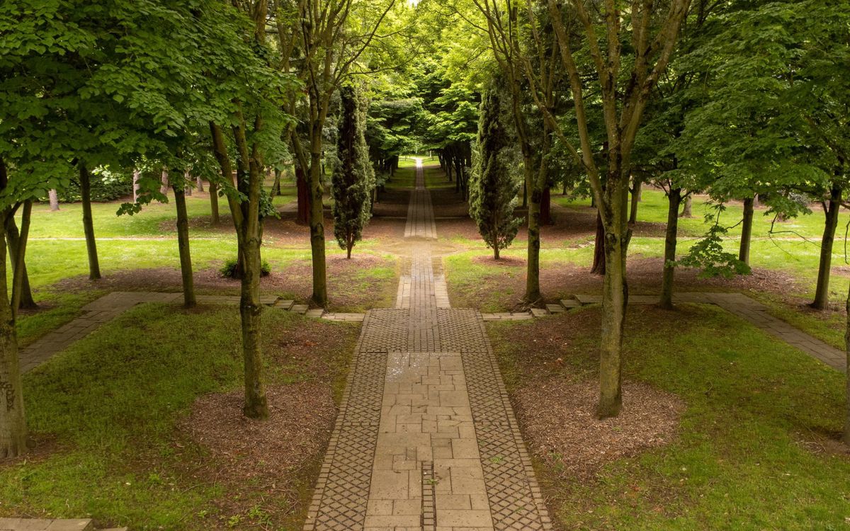 Drone view through the trees in the Tree Cathedral in Milton Keynes