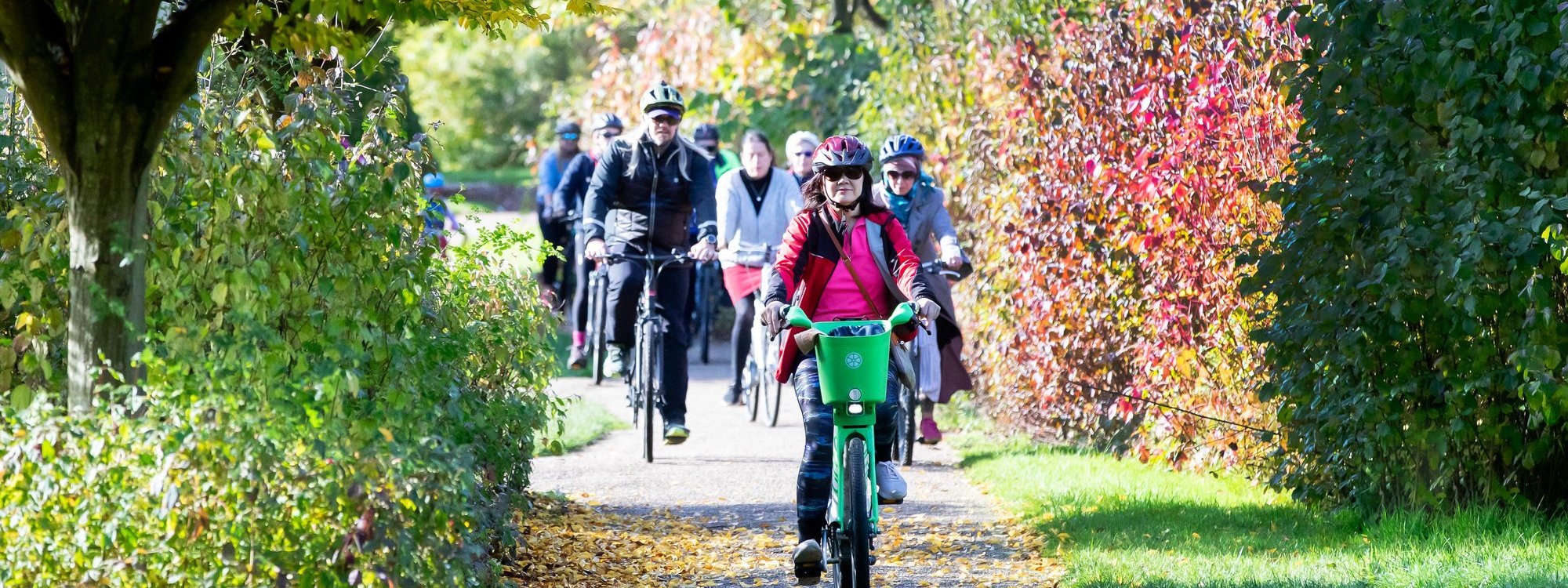 A group of cyclists cycling towards the camera with autumnal colours alongside them