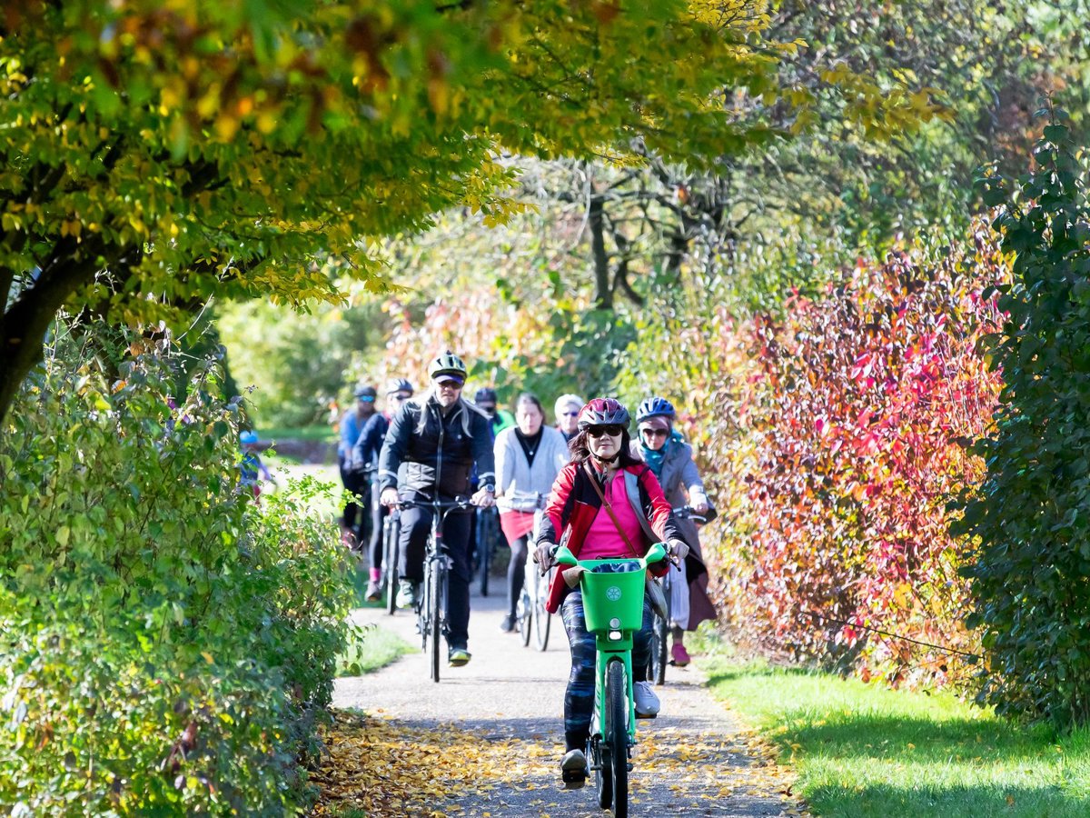 A group of cyclists cycling towards the camera with autumnal colours alongside them