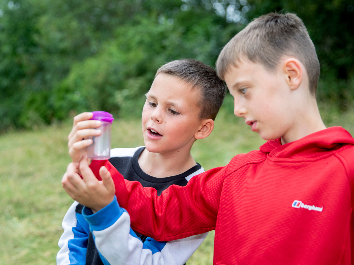 Two young boys stare inquisitively into a small plastic container which has a small insect inside. They are stood outside in a field with tall trees in the background.