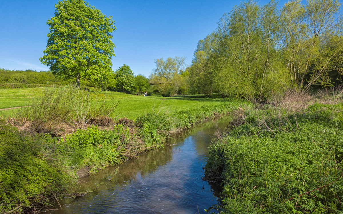 A river running through a countryside scene. The grass and trees are green, sun is shining and the sky is blue and clear.