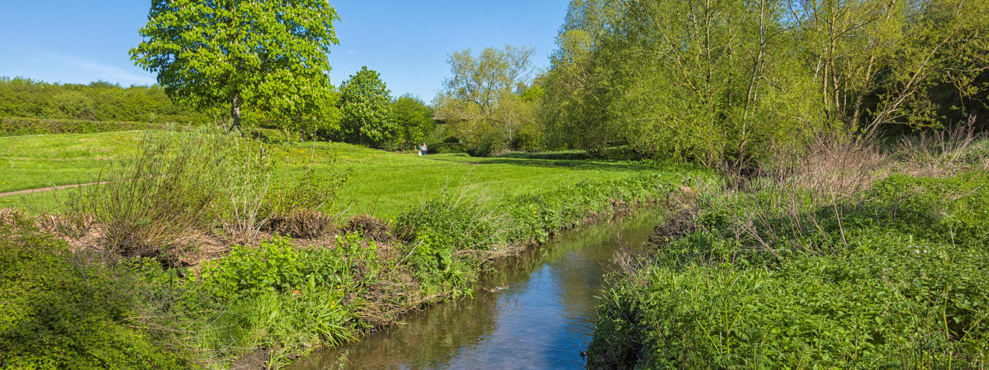 A river running through a countryside scene. The grass and trees are green, sun is shining and the sky is blue and clear.