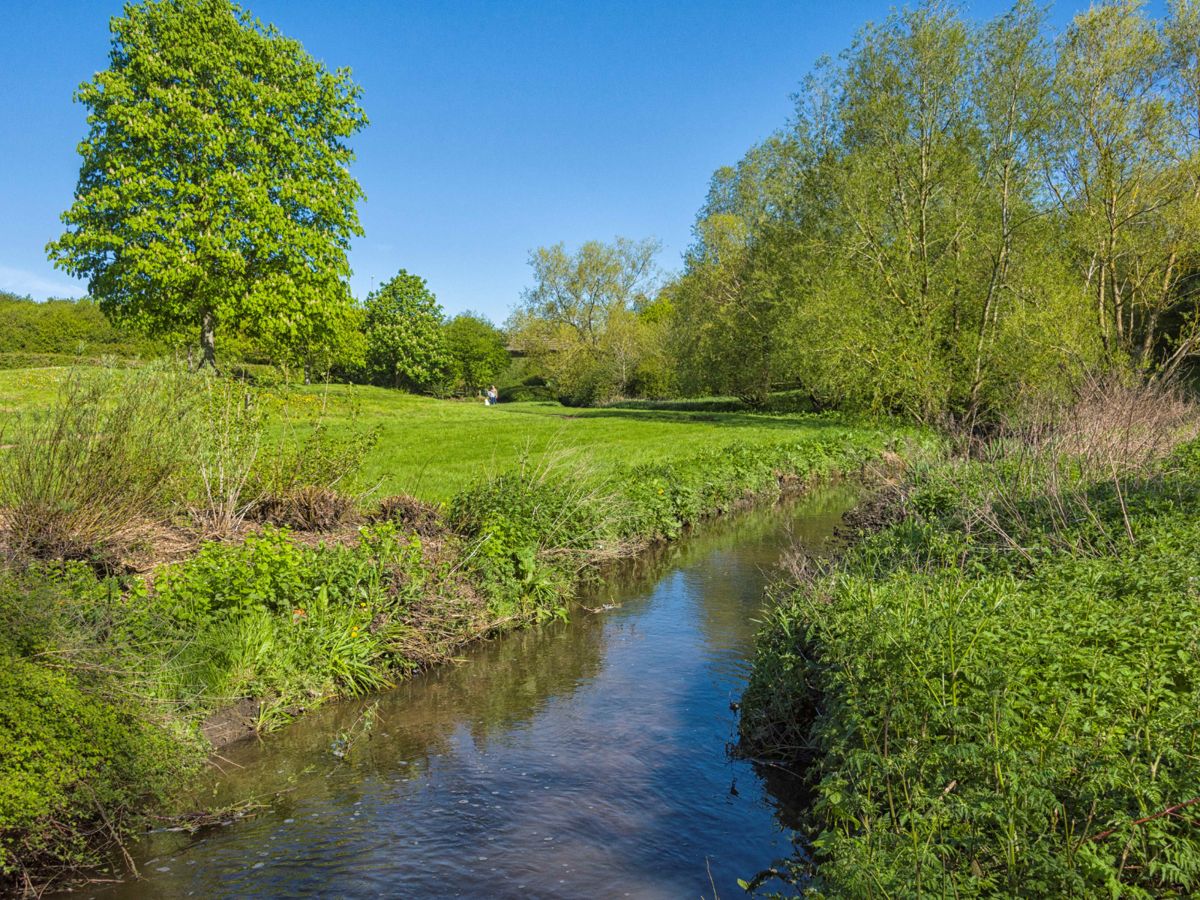 A river running through a countryside scene. The grass and trees are green, sun is shining and the sky is blue and clear.