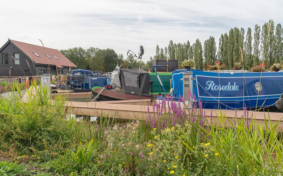 Canal Boats And Grass
