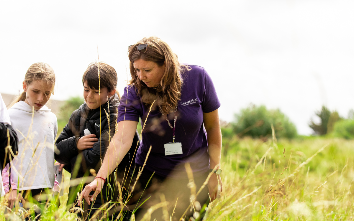 Some children and a leader stand in long grass looking for insects. The leader is pointing at something in the grass, the children are looking with curious and excited faces.. 