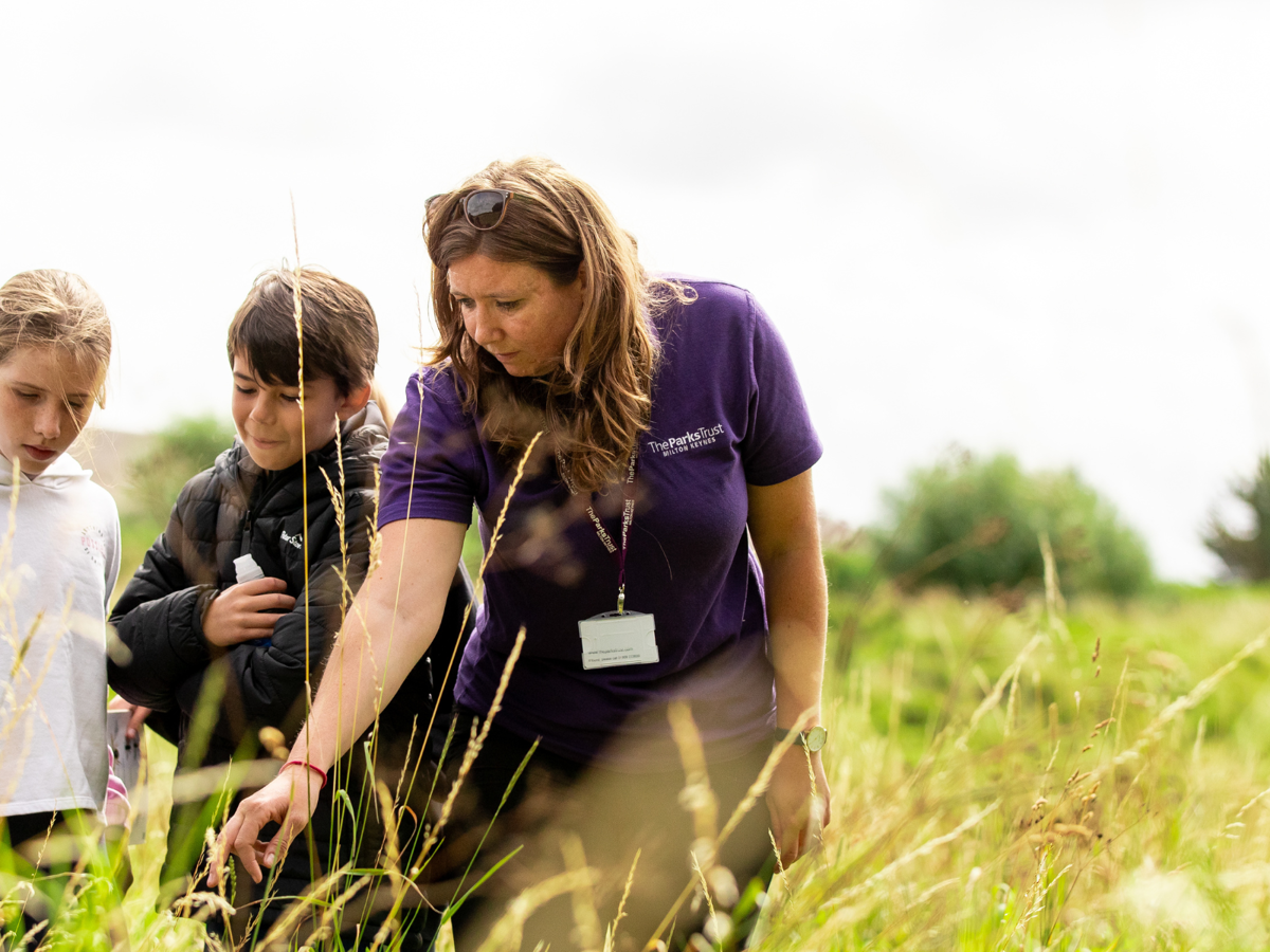 Some children and a leader stand in long grass looking for insects. The leader is pointing at something in the grass, the children are looking with curious and excited faces.. 