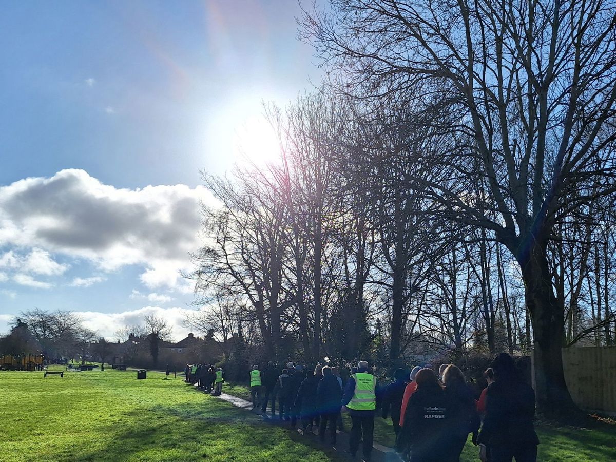 Walking group in parkland on a bright sunny day