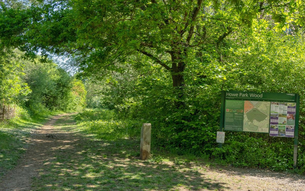 Entrance to Howe Park Wood in summer with green sign