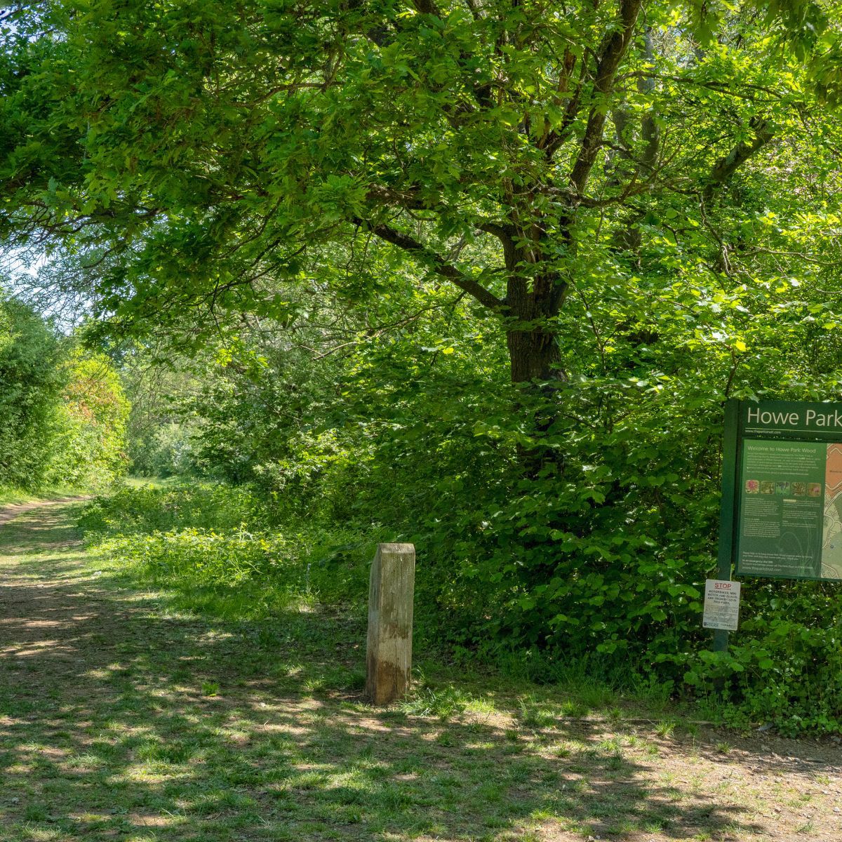 Howe Park The Parks Trust | The Parks Trust
