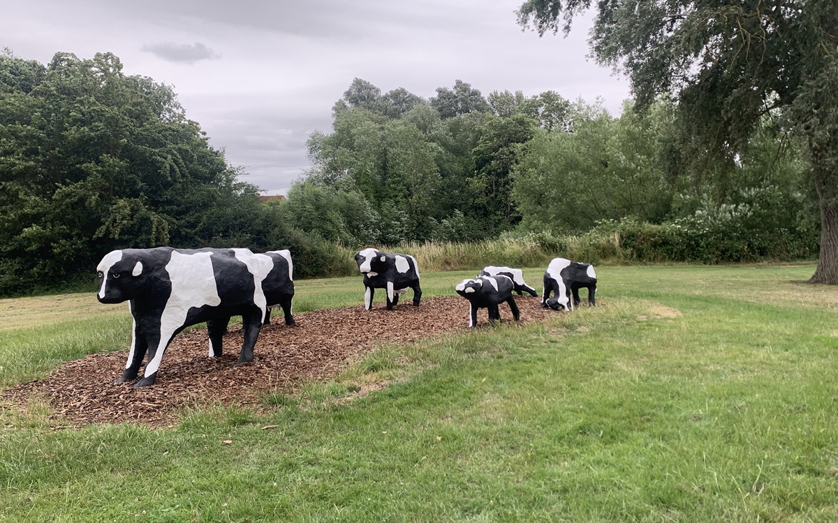 Cow sculptures surrounding by woodchip