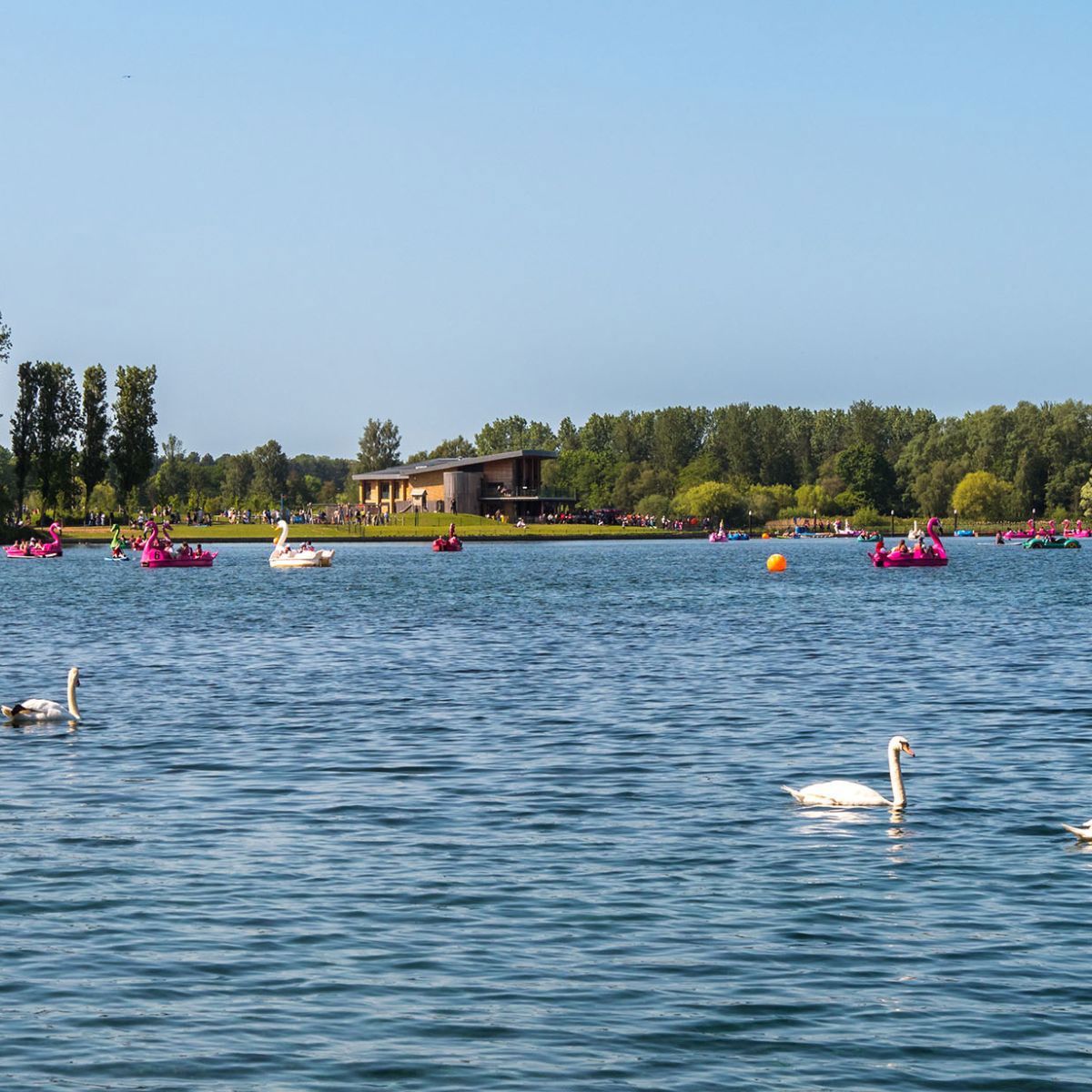 Willen Lake with watersports centre, birds and pedalos