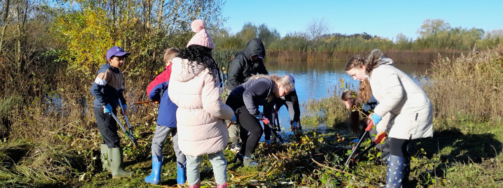 A group of children are working together next to a lake. They are chopping willow trees with large loppers while wearing Winter clothing. It is a sunny day with lots of greenery around.