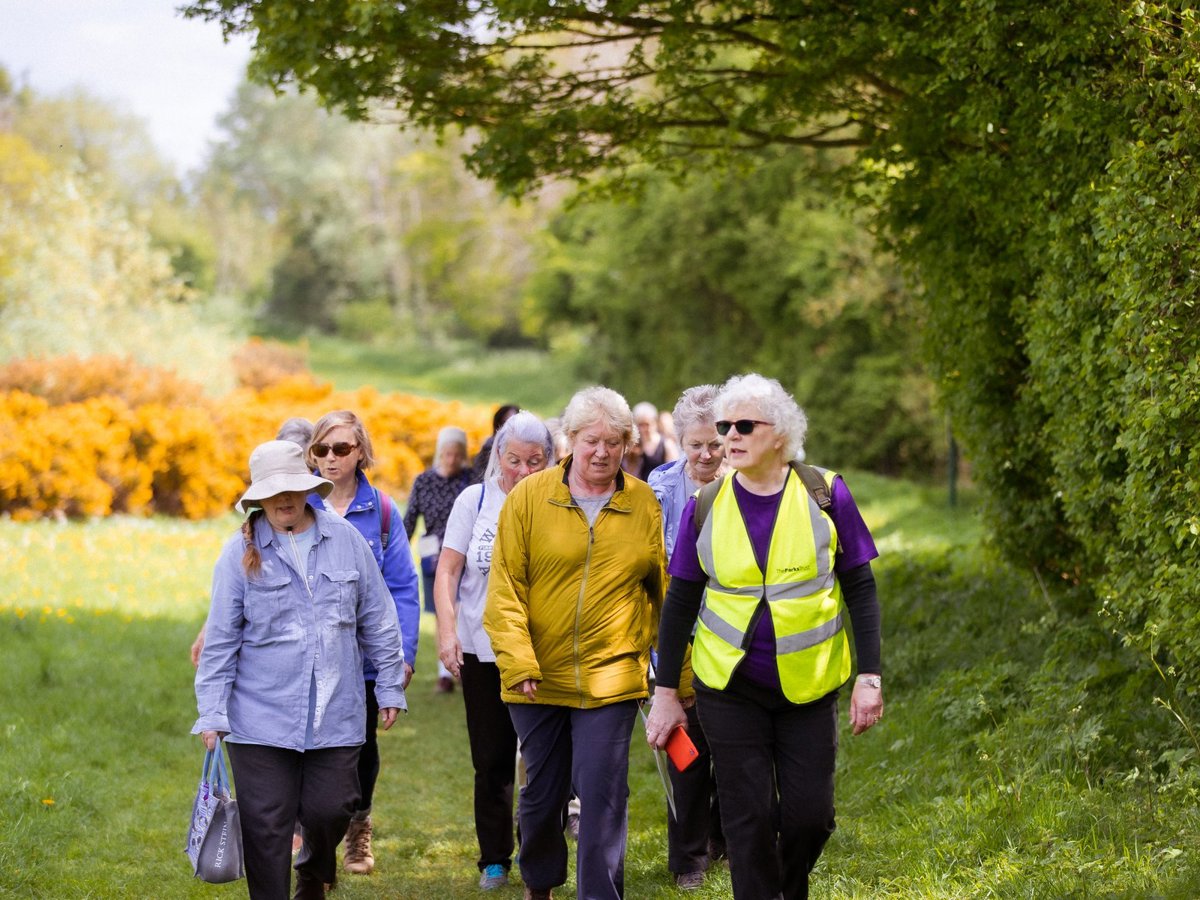 A group of women walking through parkland