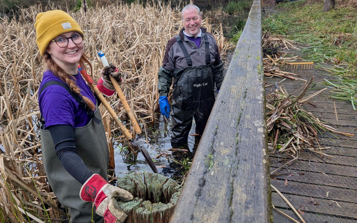 Two volunteers in pond wearing waders
