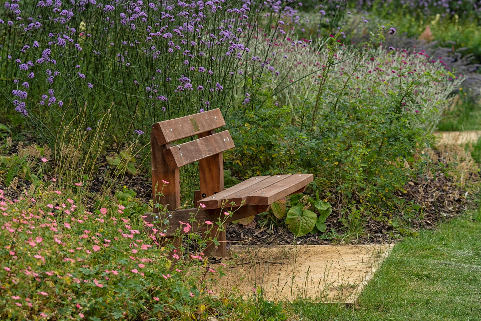 _DAB3004 Wooden bench in Gt Linford Manor Park surrounded by pink and purple flowers.jpg