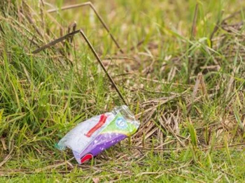 Litter and looking after the environment - CTA.jpg
