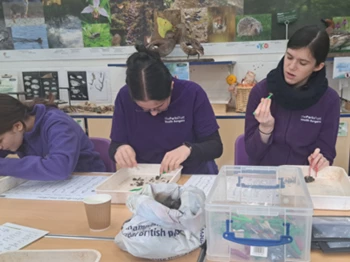 400 x 300 Youth Rangers dissecting owl pellets .png