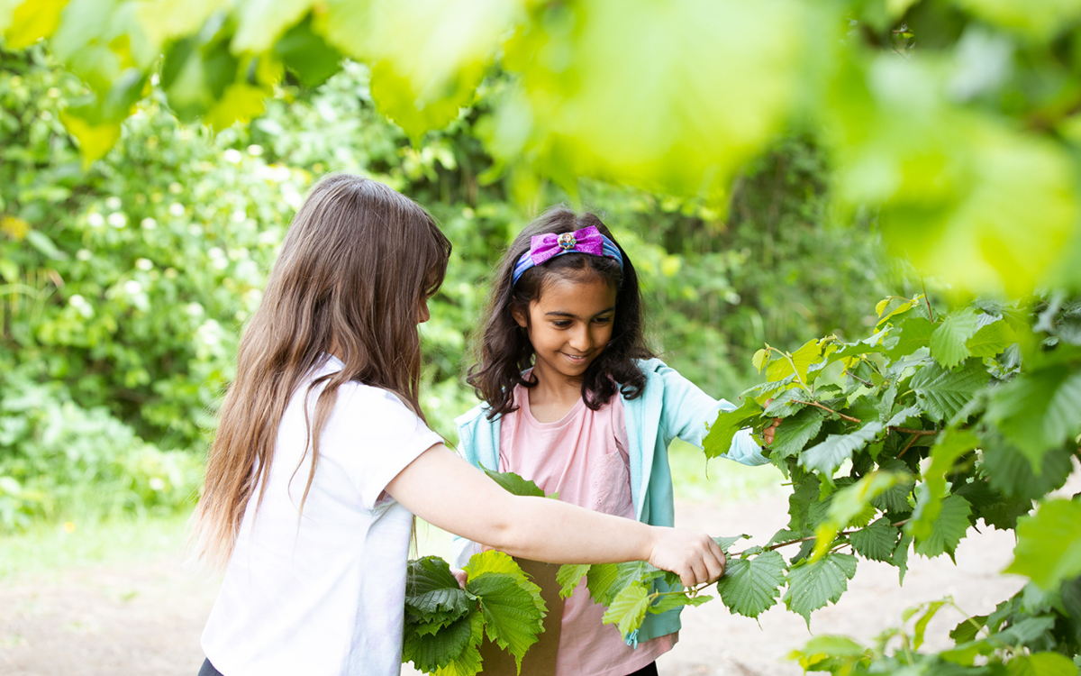 Two girls stand in a woodland in the sun, looking closely at some hazel leaves. They are smiling and holding onto the branches of the tree. It is sunny.