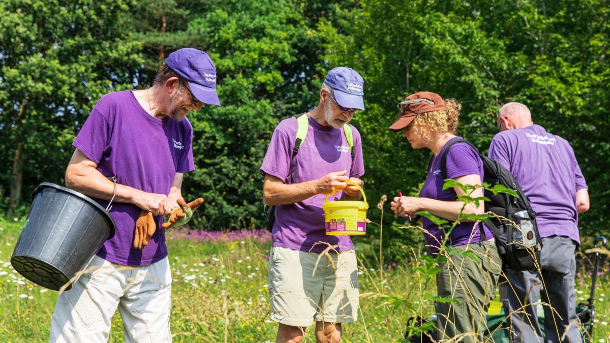 Group of The Parks Trust volunteers collecting seed from the parks
