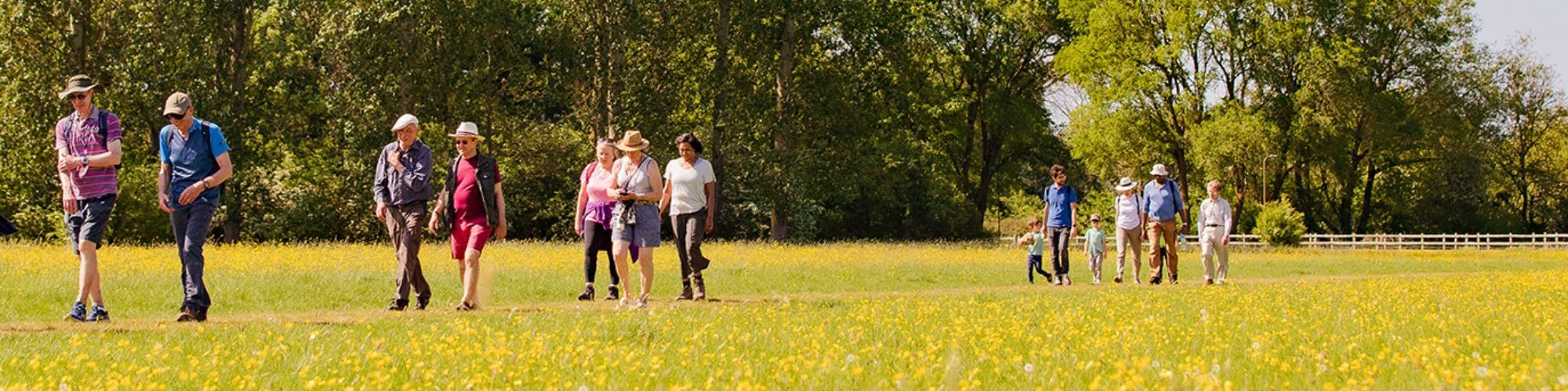 Groups of people walking through a park in summer