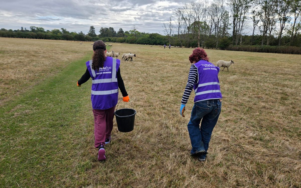 Teens in purple high vis holding bucket with sheep in field