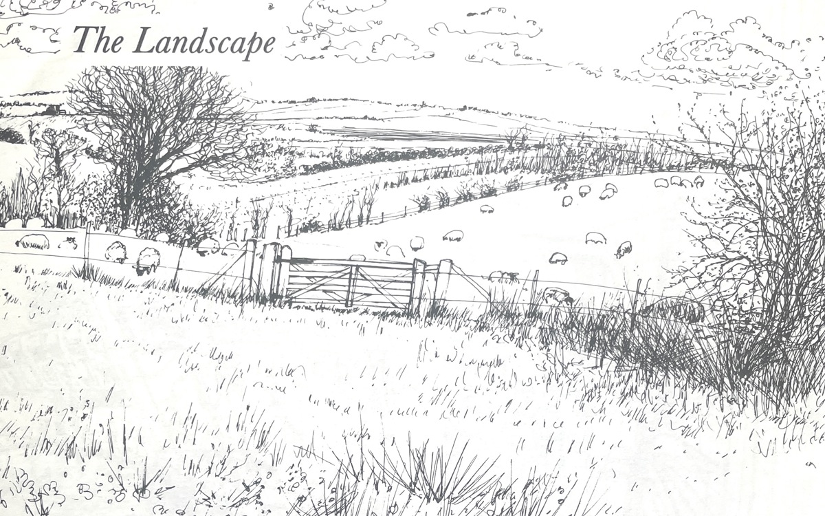 Sketch of Campbell Park fields