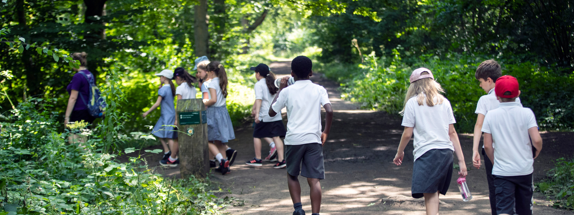 School group walking through woodland