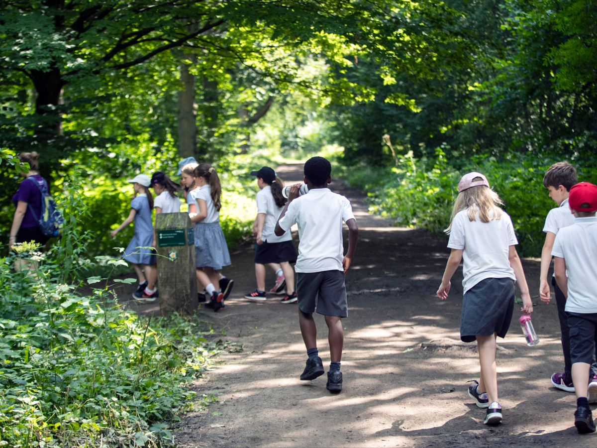 School group walking through woodland