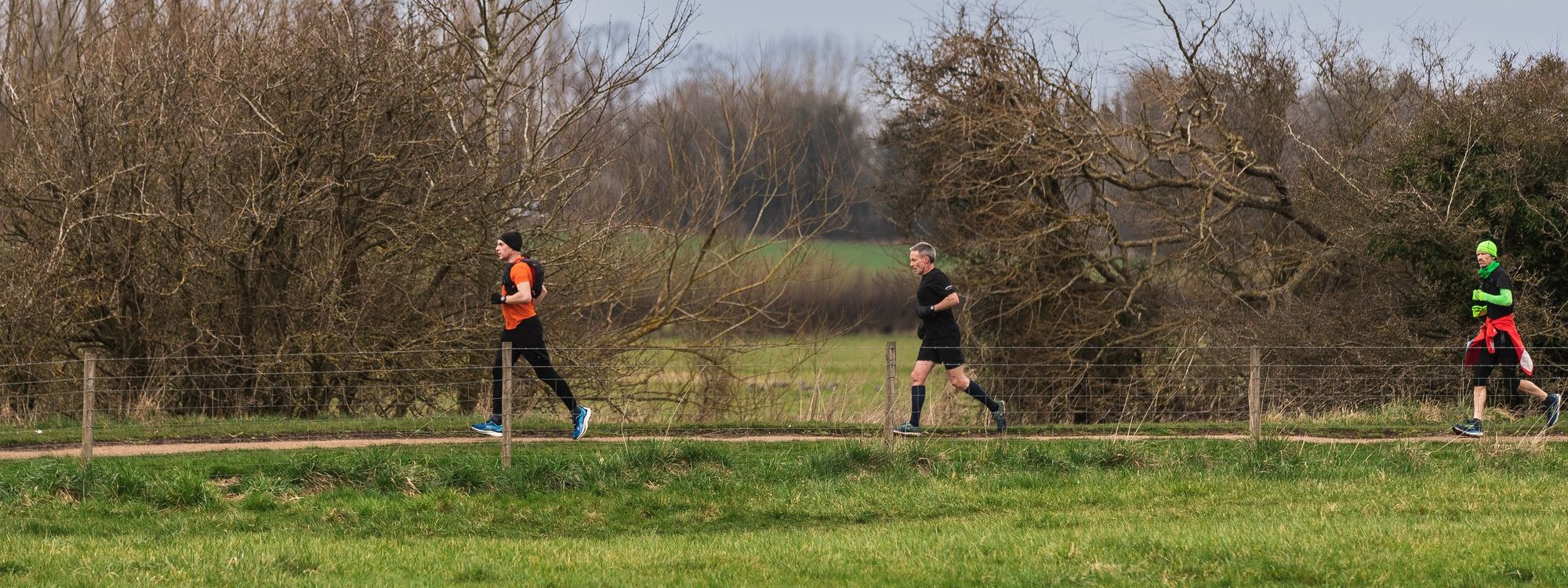 Three runners in the distance in a wintery parkland