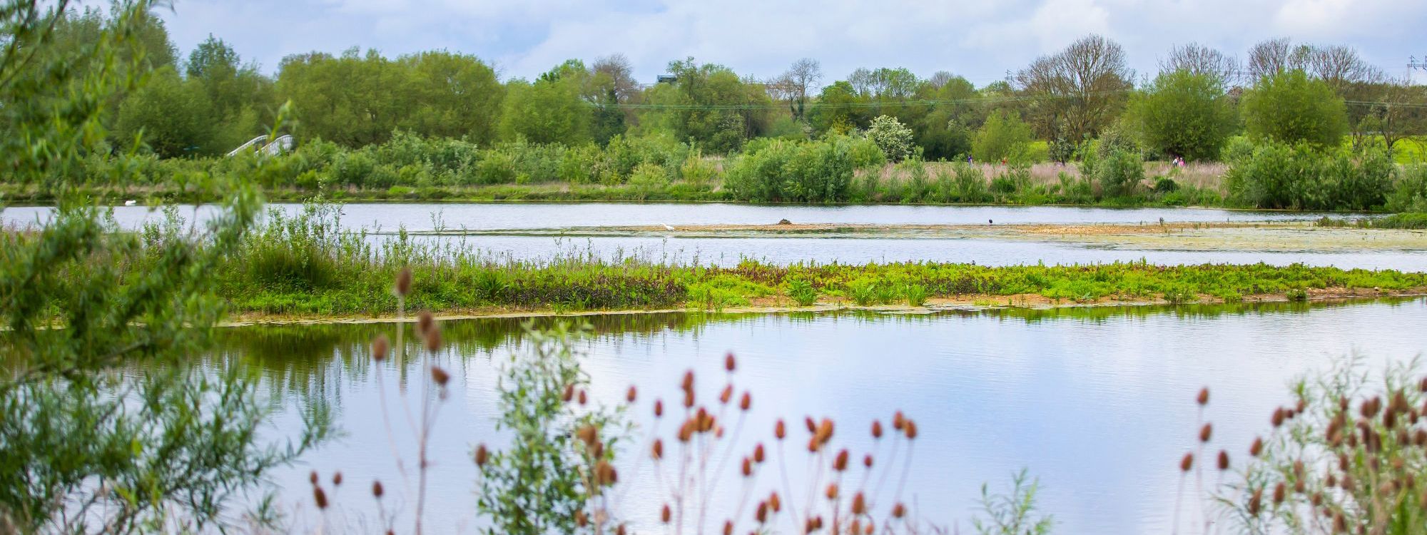 A view across a large water body, surrounded by greenery, on a bright day