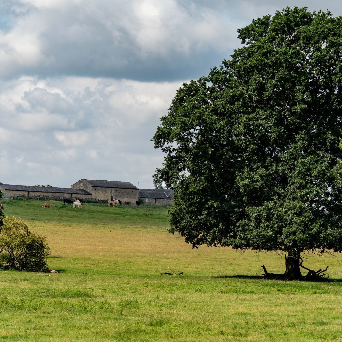 Manor Farm buildings and fields at Floodplain Forest Nature Reserve