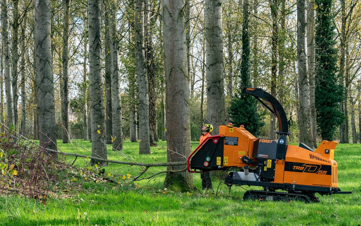 Wood chipper and team member with trees in poplar plantation in Milton Keynes