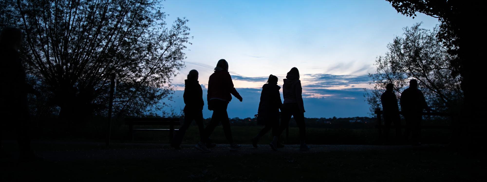 A group of walkers at dusk in parkland
