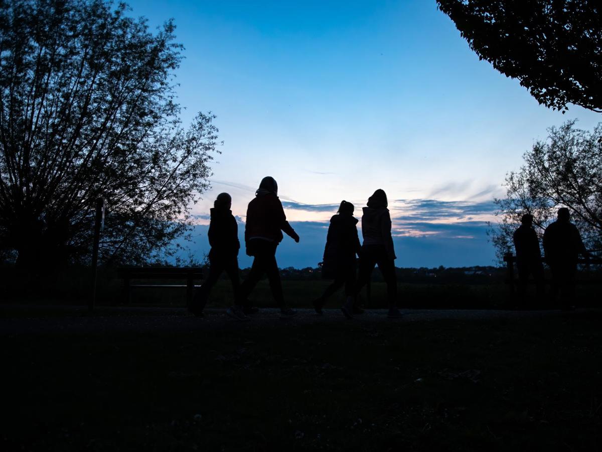 A group of walkers at dusk in parkland